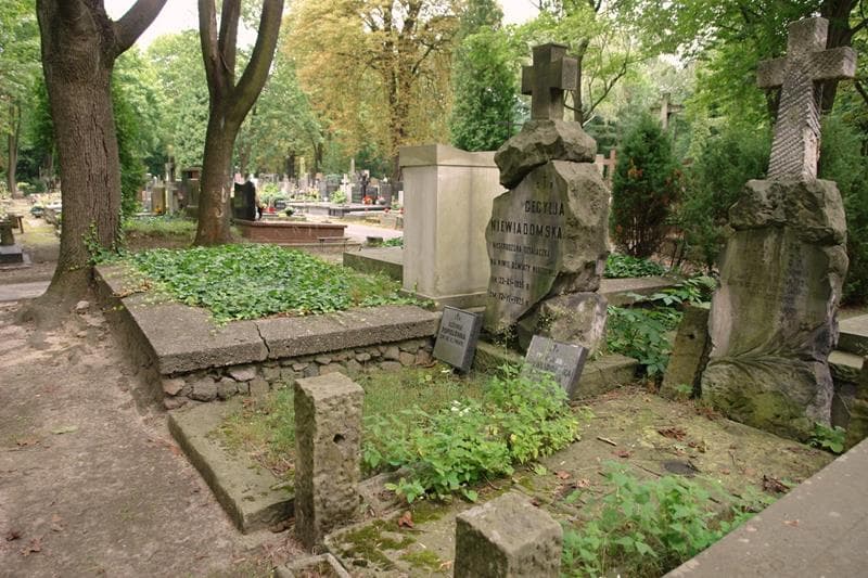 Zdjęcie grobu: Cecylja Niewiadomska