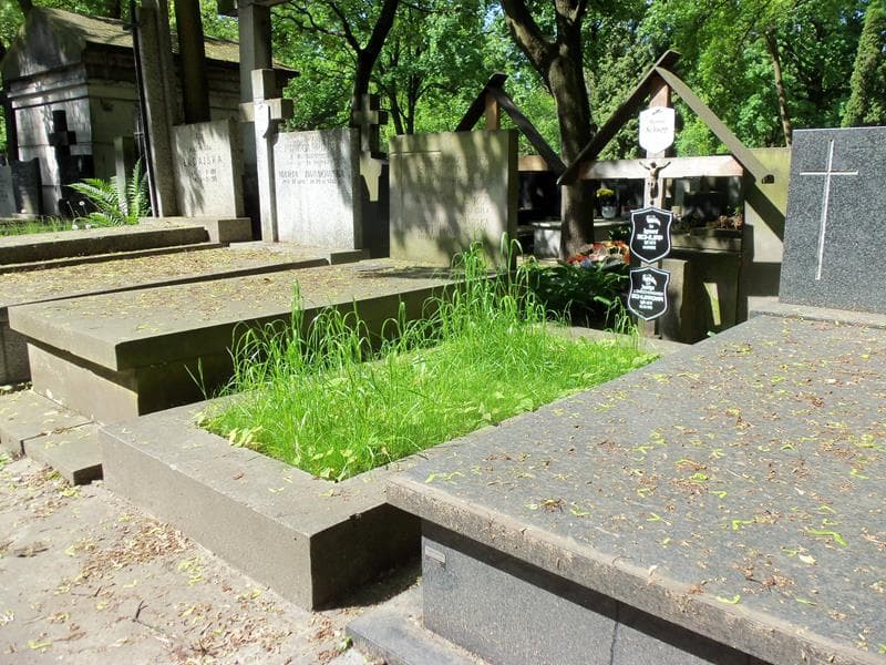 Zdjęcie grobu Jadwiga Schuppowa (1)