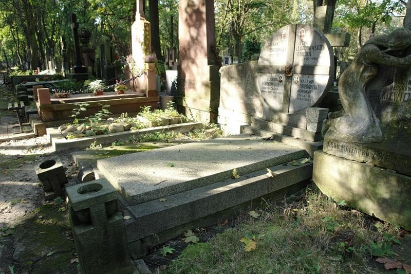 Zdjęcie grobu: Irena Górska