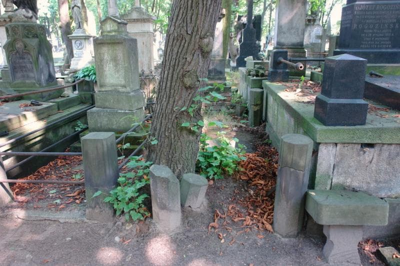 Zdjęcie grobu Izabella Gumowska (1)