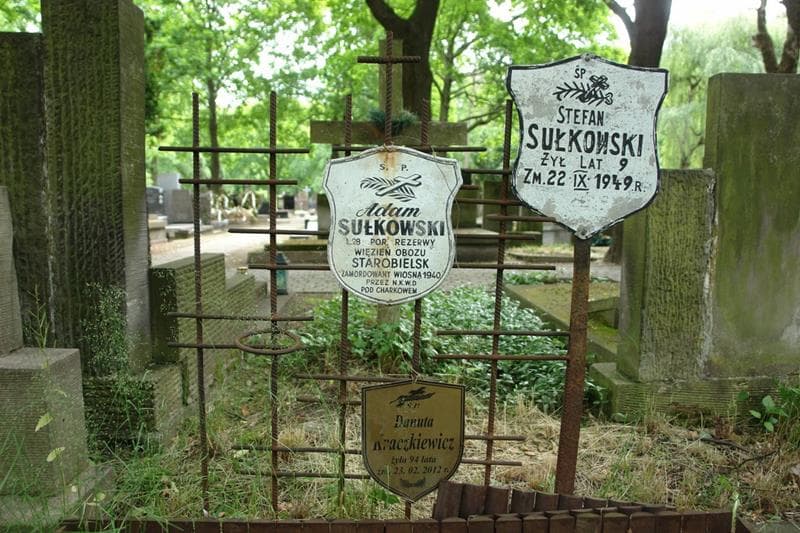 Zdjęcie grobu Danuta Kraczkiewicz (2)