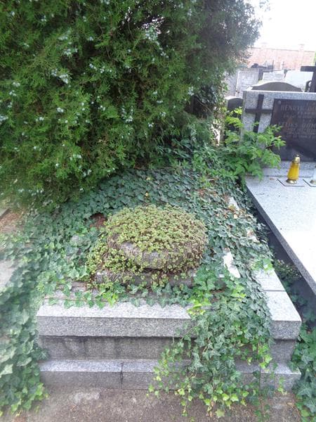 Zdjęcie grobu Maurycy Bornsztajn (1)