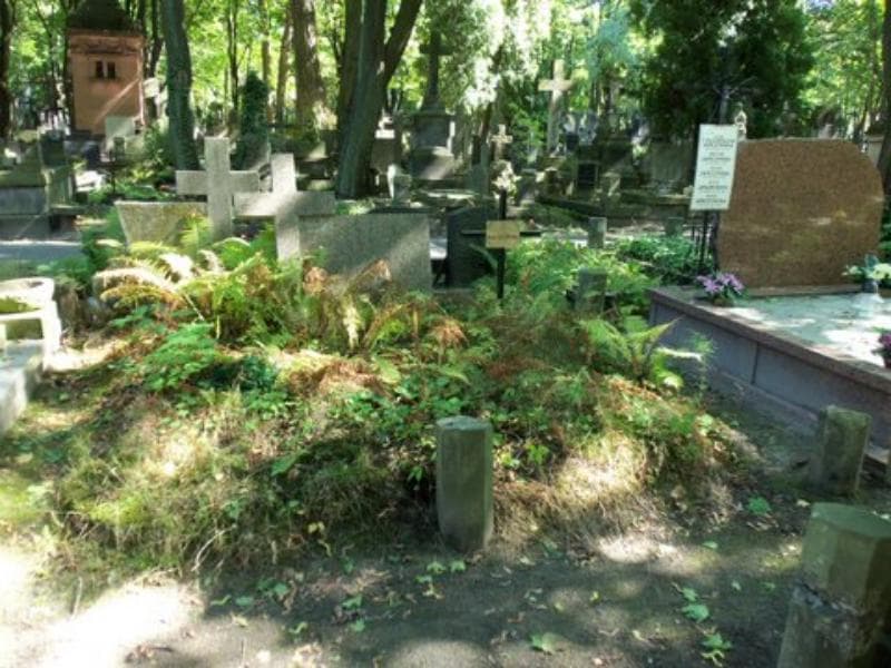 Zdjęcie grobu: Janina Marciszewska