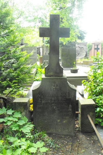 Zdjęcie grobu Feliks Tokarski (2)