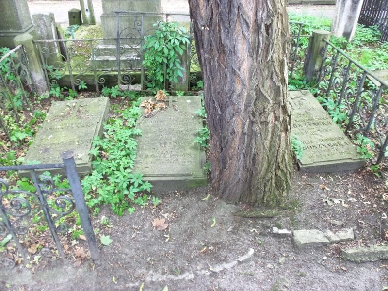Zdjęcie grobu Jerzy Trószyński (2)