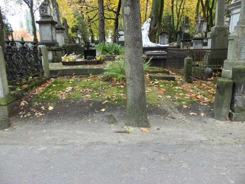 Zdjęcie grobu: Antonina Bratkowska
