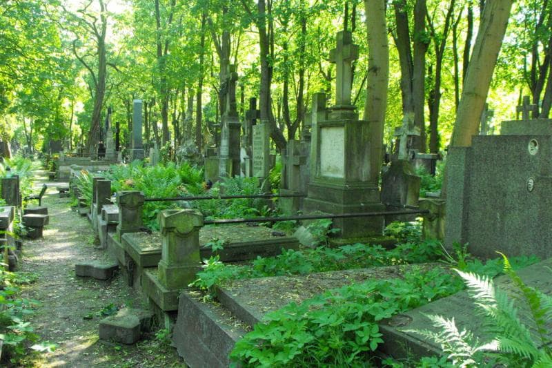 Zdjęcie grobu: Wiktor Mierzejewski