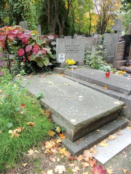 Zdjęcie grobu Zofia Narolska (1)