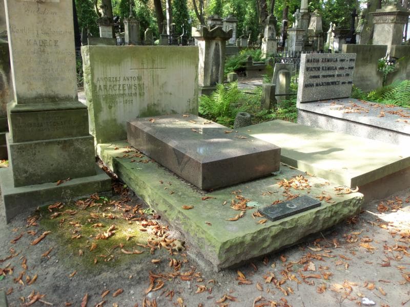 Zdjęcie grobu Aleksandra Piłsudska (1)