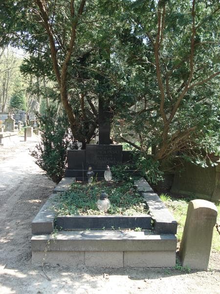 Zdjęcie grobu: Wacław Jarmoliński