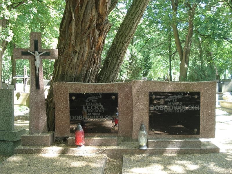 Zdjęcie grobu Janina Dobrowolska (1)