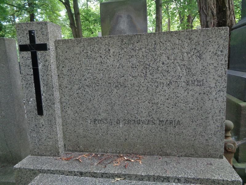 Zdjęcie grobu Bronisław Boczek (2)