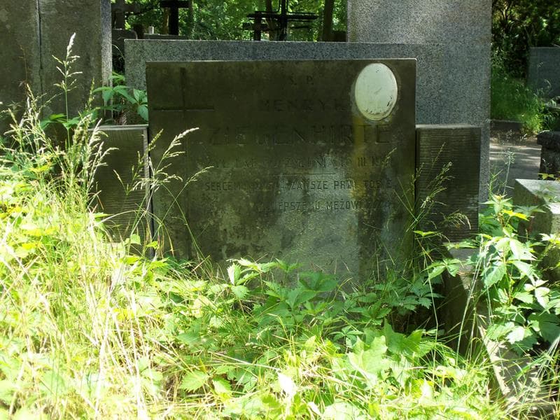 Zdjęcie grobu Henryk Ziegenhirte (2)