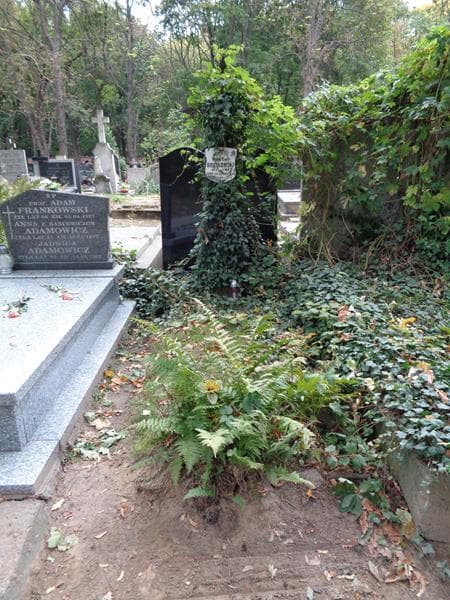 Zdjęcie grobu: Wiktor Roszkowski