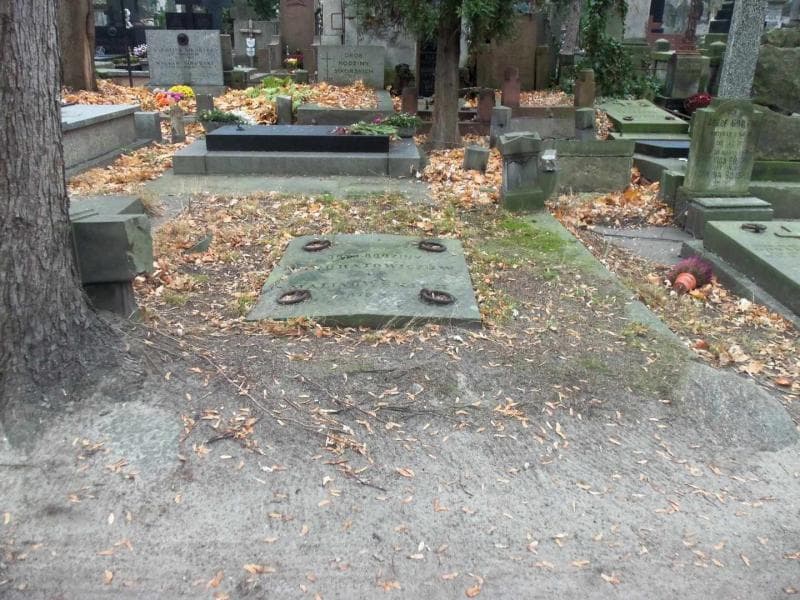 Zdjęcie grobu: Malinowscy