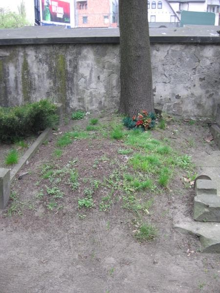 Zdjęcie grobu Franciszek Jasnowski (1)