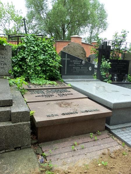 Zdjęcie grobu Andrzej Siczek (1)