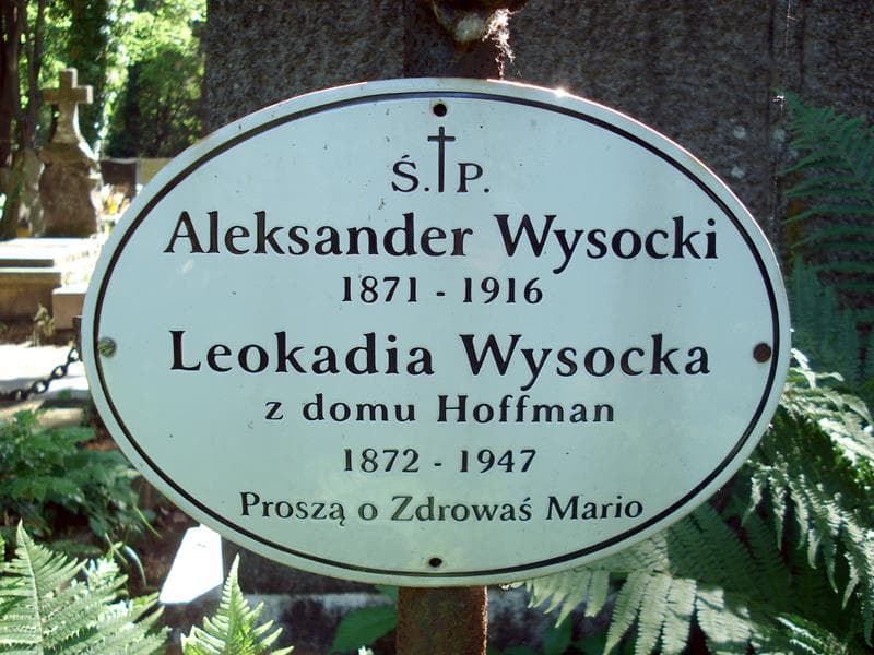 Zdjęcie grobu Aleksander Wysocki (2)