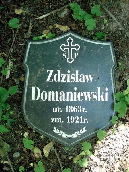 Zdjęcie grobu Pole Grobowe / Zdzisław Domaniewski (1)