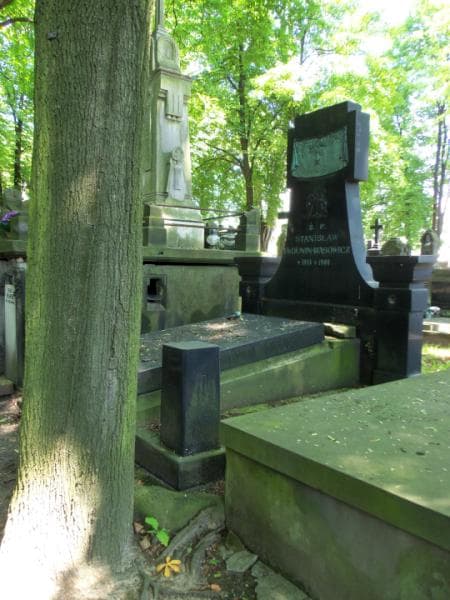 Zdjęcie grobu Stanisław Dunin-Wąsowicz (1)