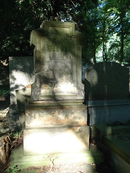 Zdjęcie grobu Paweł Makowski (2)