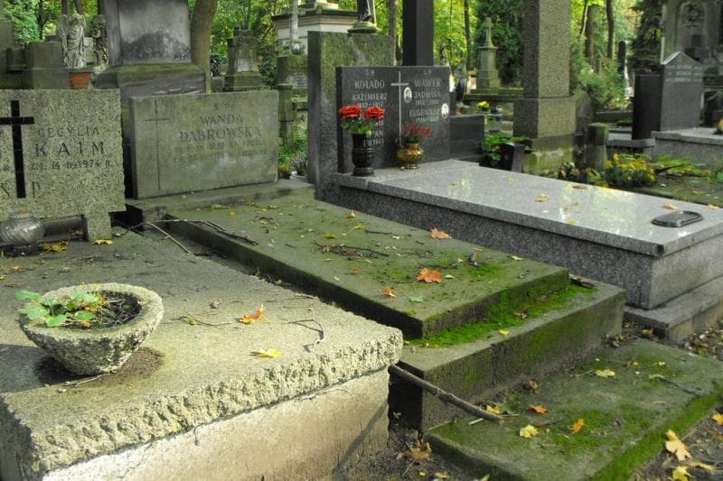 Zdjęcie grobu Wanda Dąbrowska (1)
