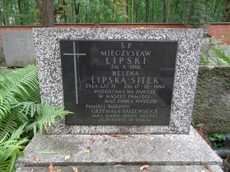 Zdjęcie grobu Helena Lipska-Sitek (2)