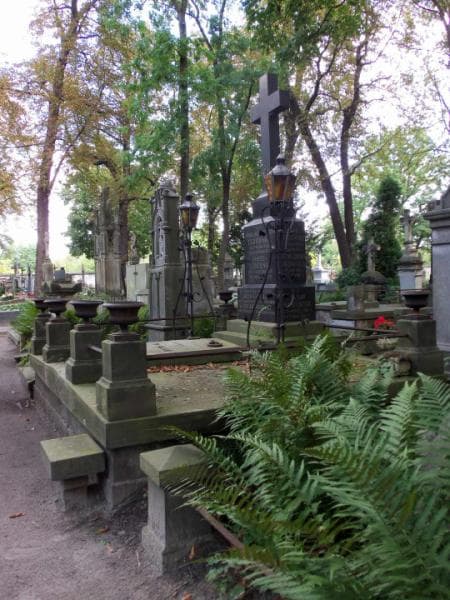 Zdjęcie grobu Franciszek Izdebski (1)