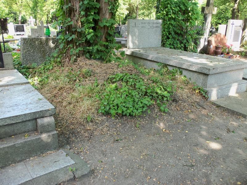 Zdjęcie grobu Pole Grobowe (1)