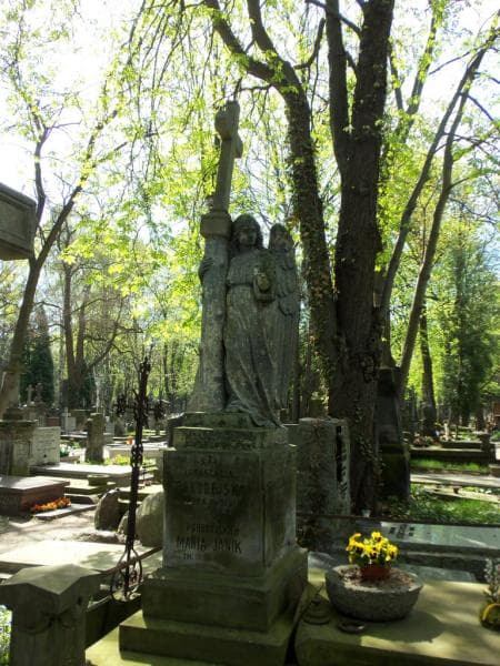 Zdjęcie grobu Józefa Janik (1)