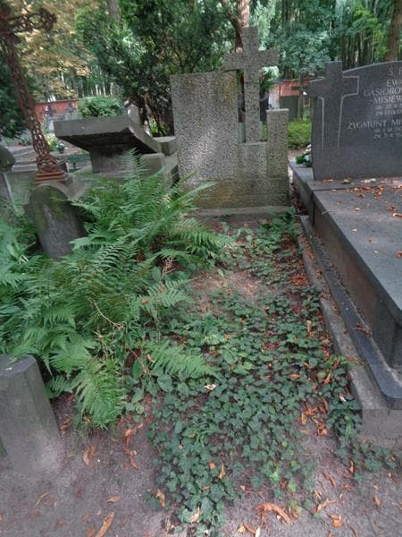 Zdjęcie grobu: Pole Grobowe
