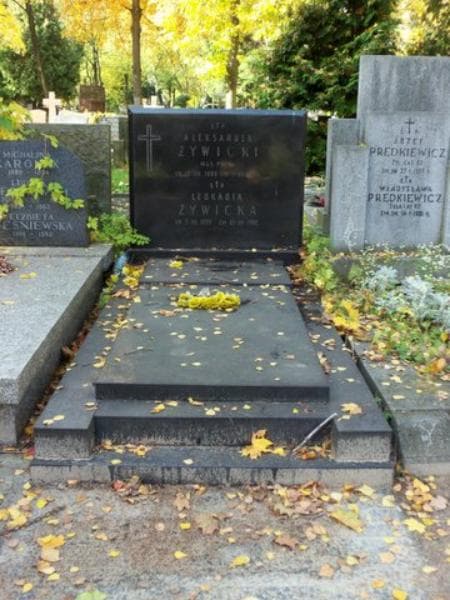 Zdjęcie grobu: Aleksander Żywicki