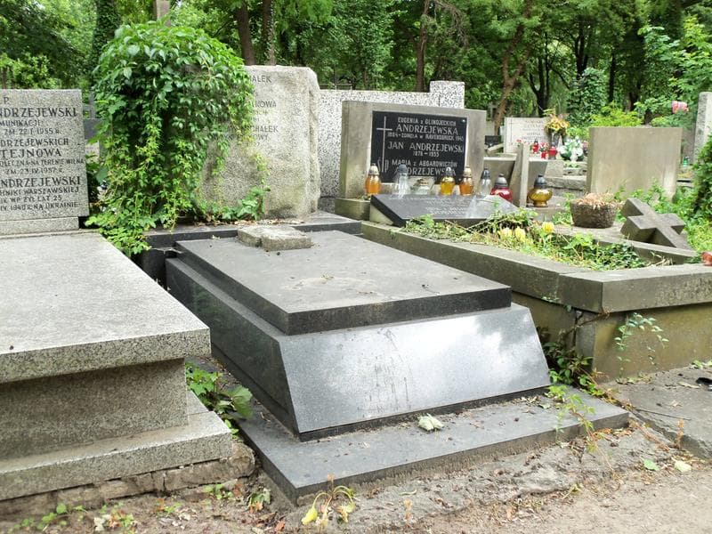 Zdjęcie grobu Stefan Michałek (1)