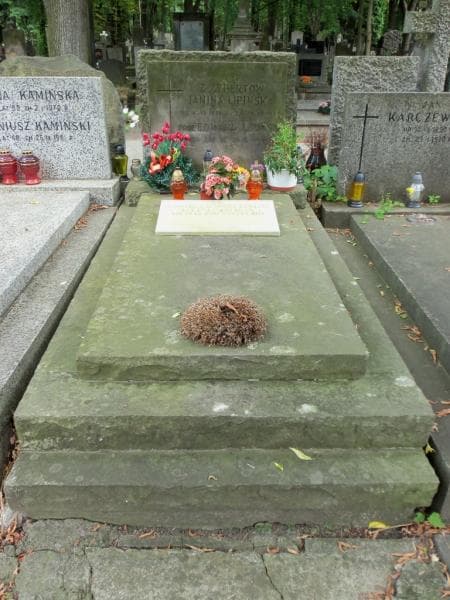 Zdjęcie grobu Edward Lipiński (1)