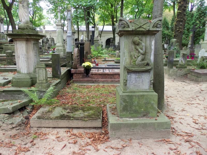 Zdjęcie grobu: Felicya Janczewska