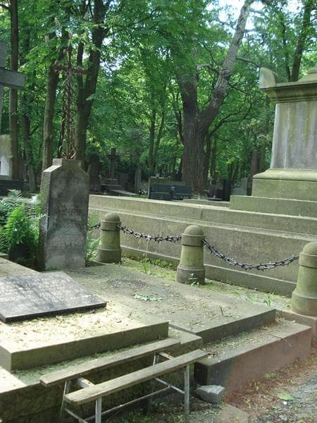 Zdjęcie grobu Maria Krzewska (1)