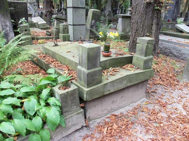 Zdjęcie grobu Domagalscy (2)