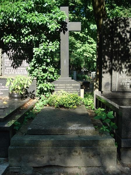 Zdjęcie grobu: Amadeo Ponz Y Martinez