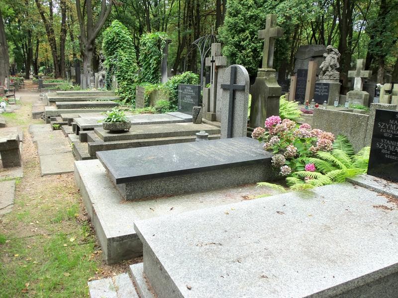 Zdjęcie grobu Jadwiga Ostoja-Suchcicka (1)
