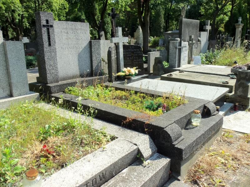 Zdjęcie grobu Stanisława Tomaszewska (1)