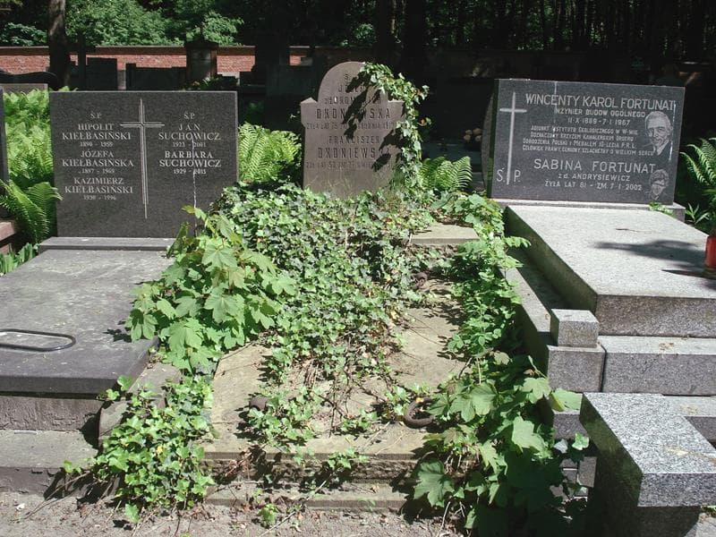 Zdjęcie grobu: Józefa Okoniewska