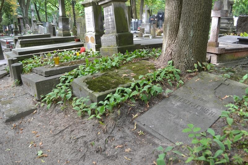 Zdjęcie grobu: Jan Piszczyński