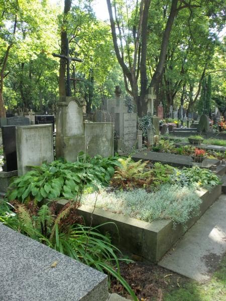 Zdjęcie grobu Wiktor Plaskowski (1)