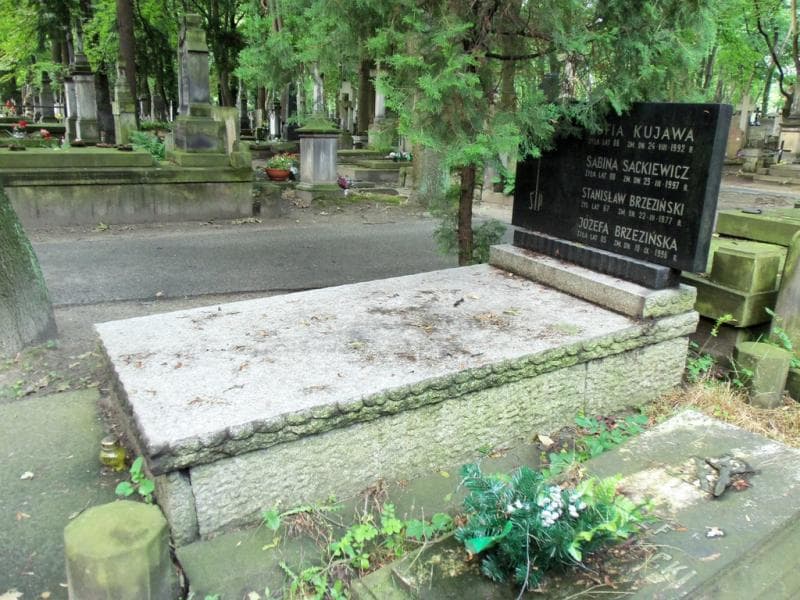 Zdjęcie grobu Stanisław Brzeziński (2)