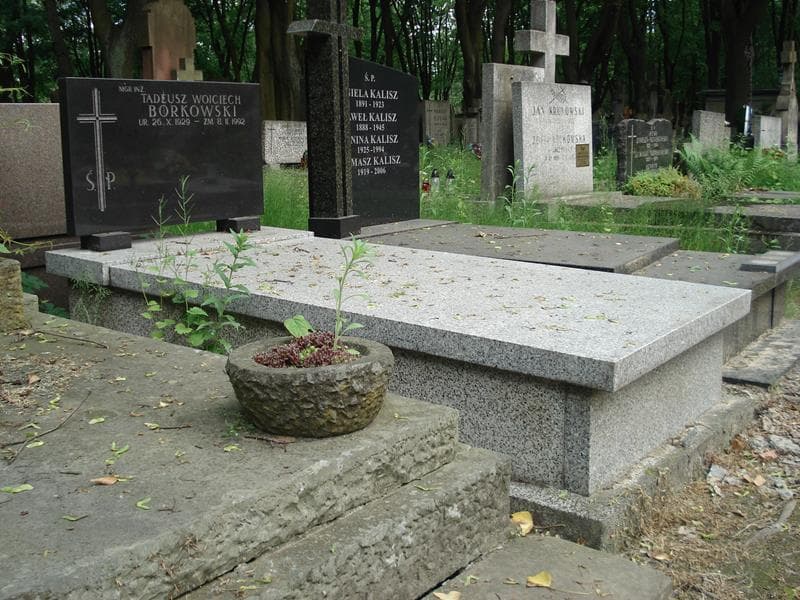 Zdjęcie grobu Tadeusz Wojciech Borkowski (1)