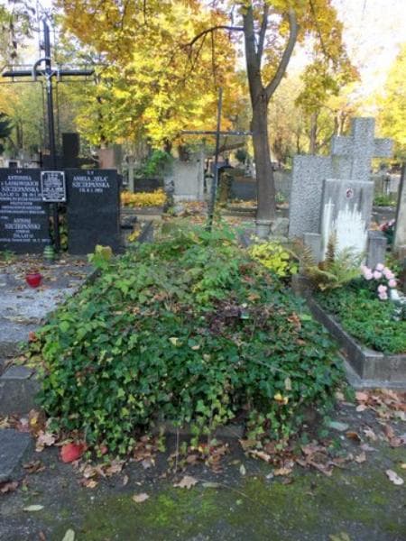 Zdjęcie grobu: Ludomir Wytykowski