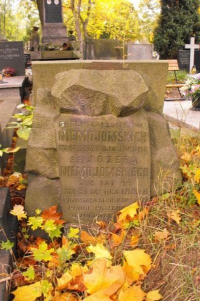 Zdjęcie grobu Józef Niemojomski (1)