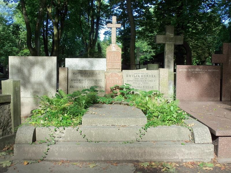 Zdjęcie grobu: Emilja Górska