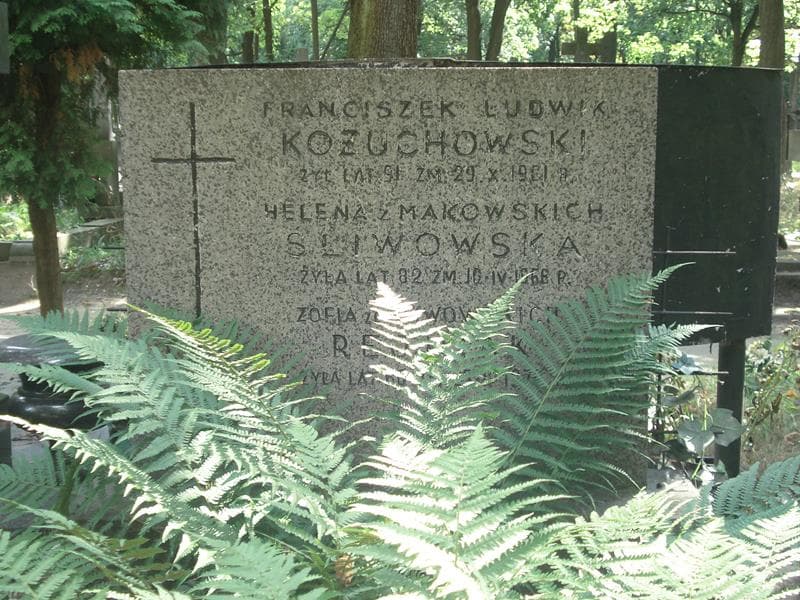 Zdjęcie grobu Franciszek Ludwik Kożuchowski (1)