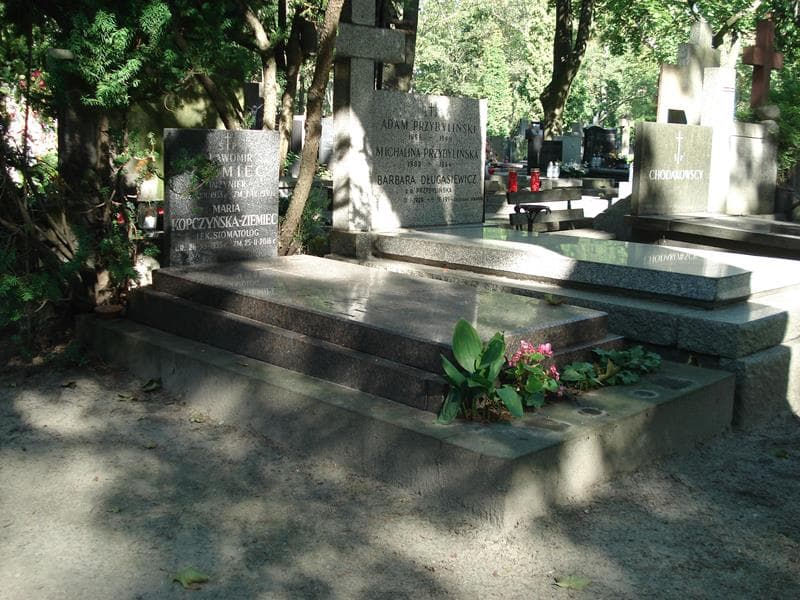 Zdjęcie grobu Jan Firewicz (1)